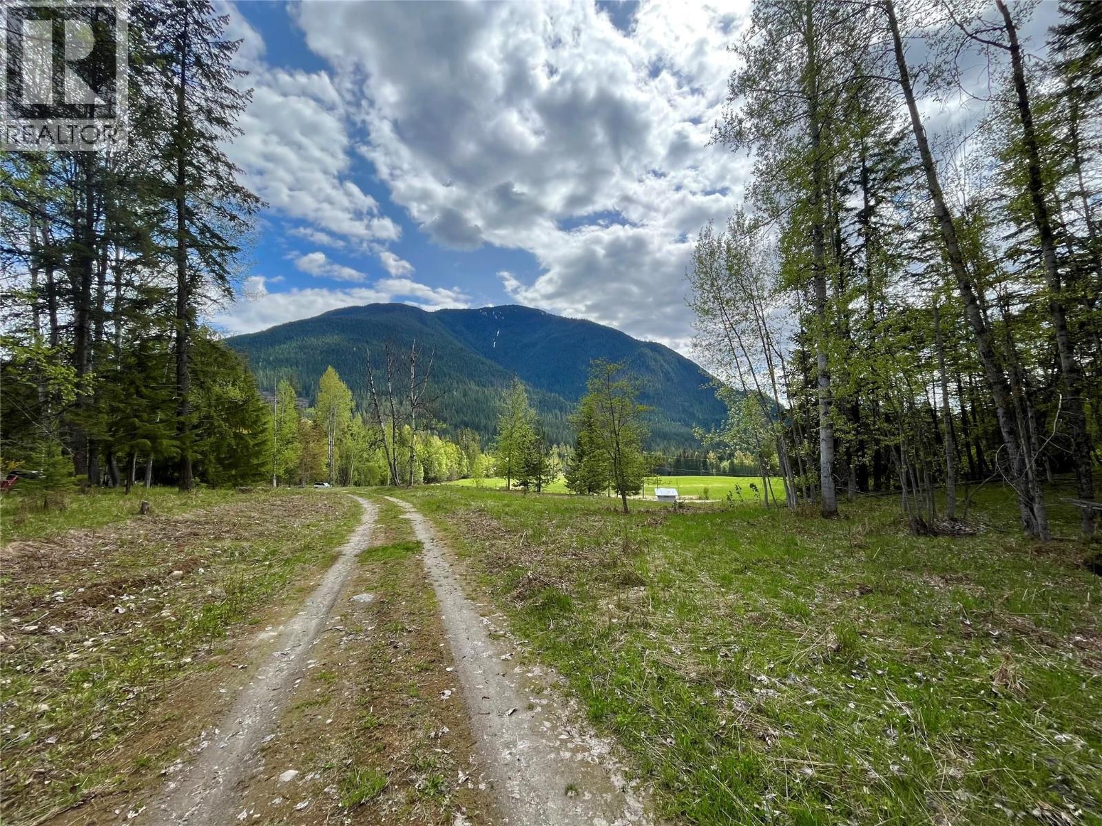 864 Bartley Road, Nakusp, British Columbia  V0G 1R1 - Photo 24 - 10401580