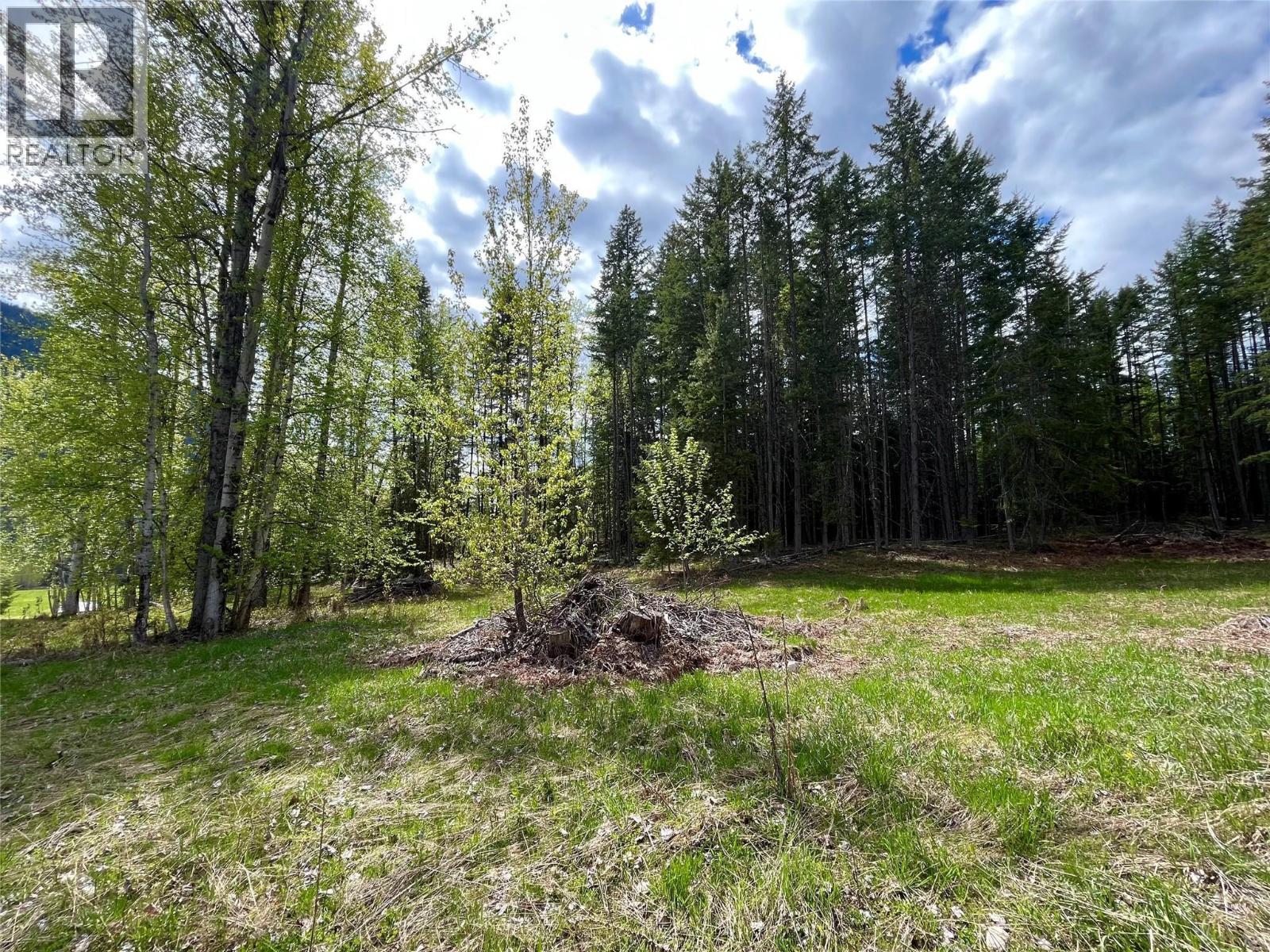 864 Bartley Road, Nakusp, British Columbia  V0G 1R1 - Photo 25 - 10401580