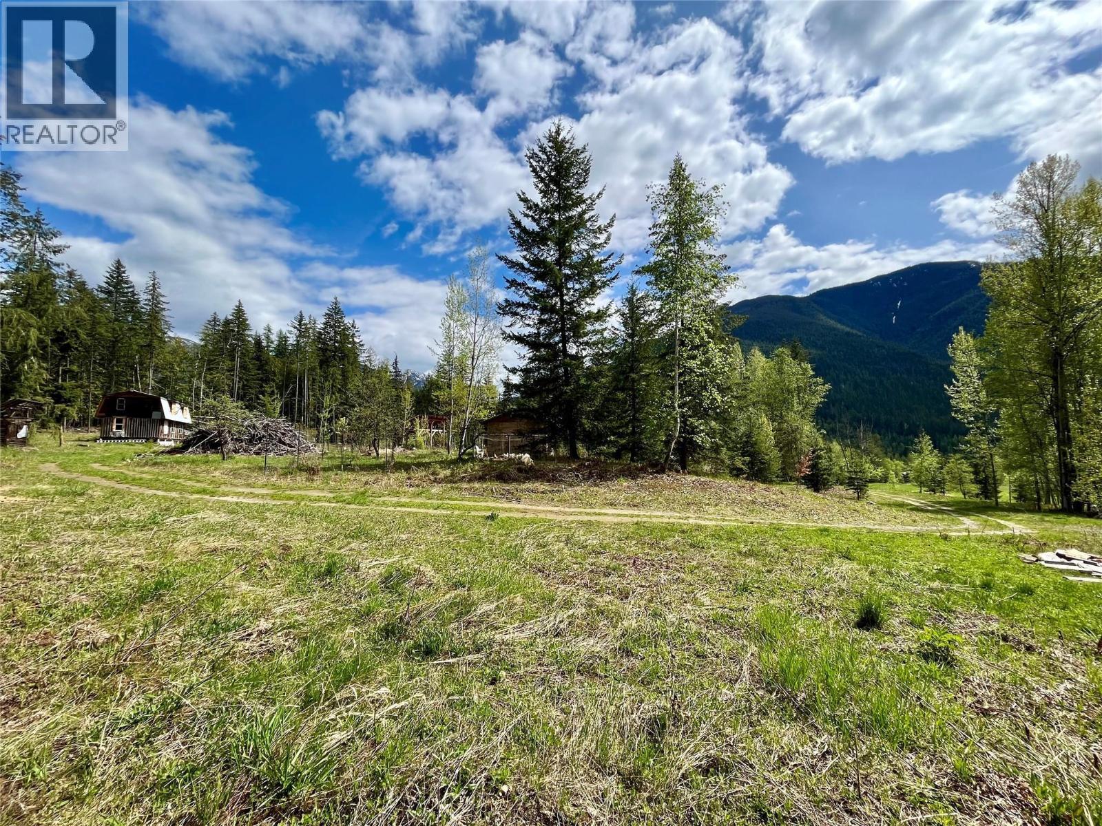 864 Bartley Road, Nakusp, British Columbia  V0G 1R1 - Photo 26 - 10401580