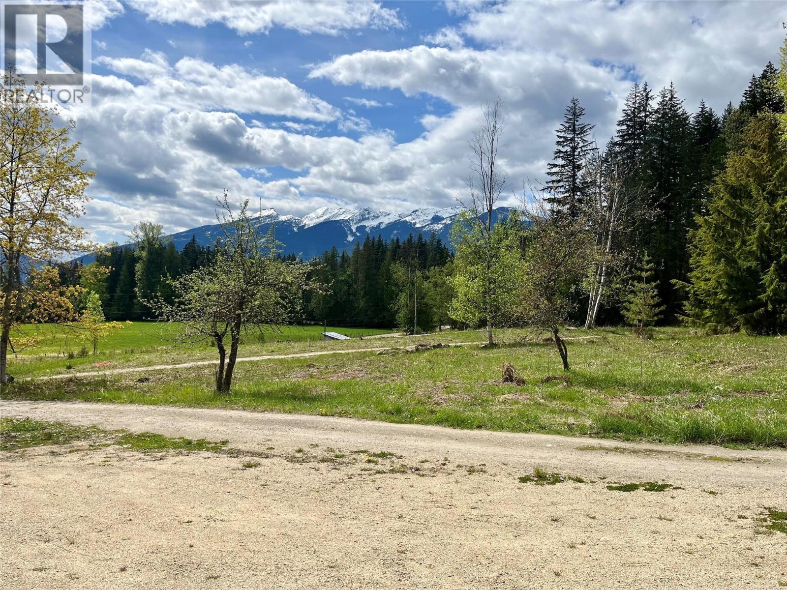 864 Bartley Road, Nakusp, British Columbia  V0G 1R1 - Photo 38 - 10401580