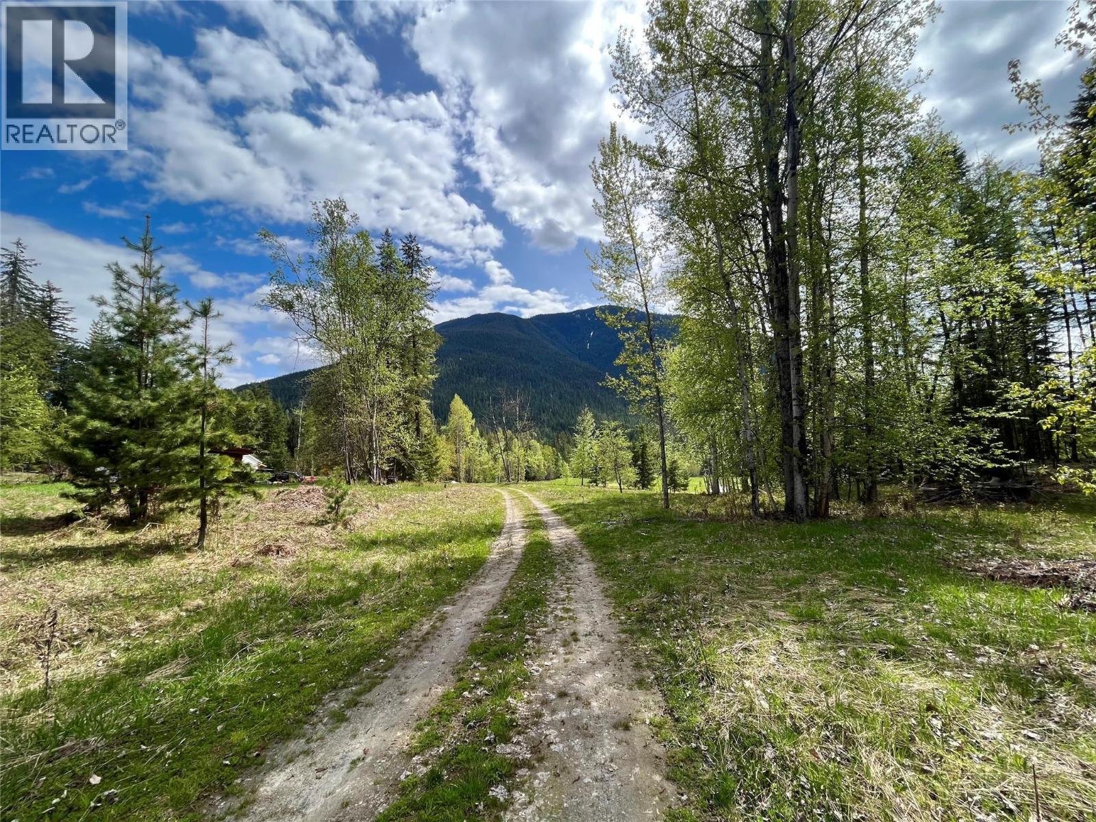 864 Bartley Road, Nakusp, British Columbia  V0G 1R1 - Photo 39 - 10401580