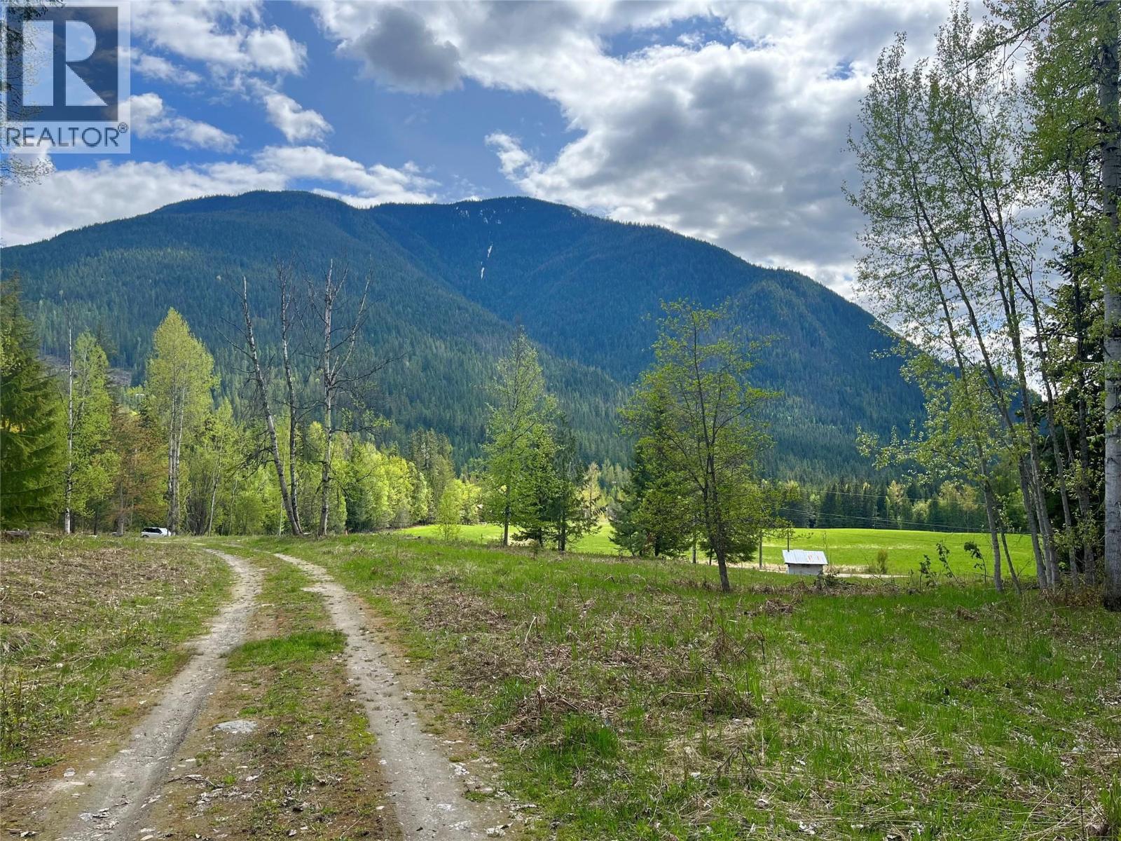 864 Bartley Road, Nakusp, British Columbia  V0G 1R1 - Photo 40 - 10401580