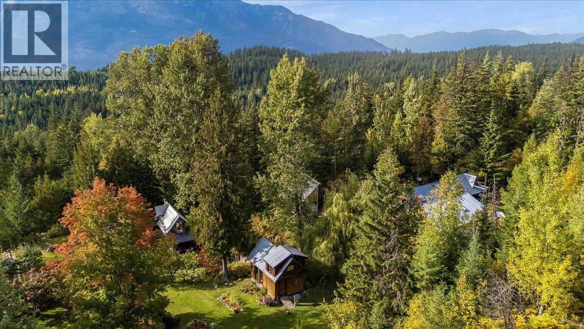 8494 Red Mountain Road, Silverton, British Columbia  V0G 1S0 - Photo 83 - 10401988