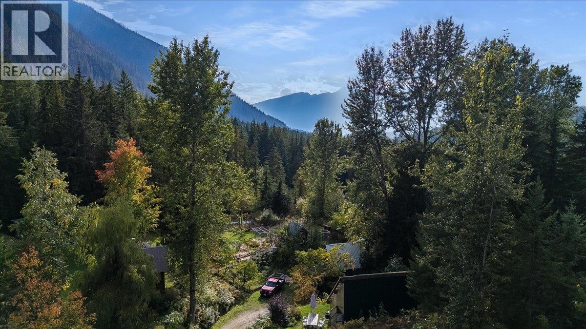 8494 Red Mountain Road, Silverton, British Columbia  V0G 1S0 - Photo 84 - 10401988