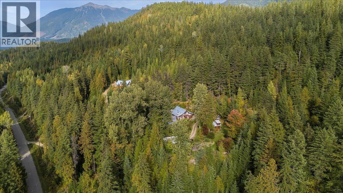 8494 Red Mountain Road, Silverton, British Columbia  V0G 1S0 - Photo 87 - 10401988