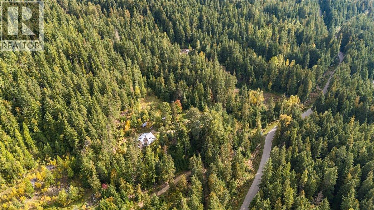 8494 Red Mountain Road, Silverton, British Columbia  V0G 1S0 - Photo 88 - 10401988