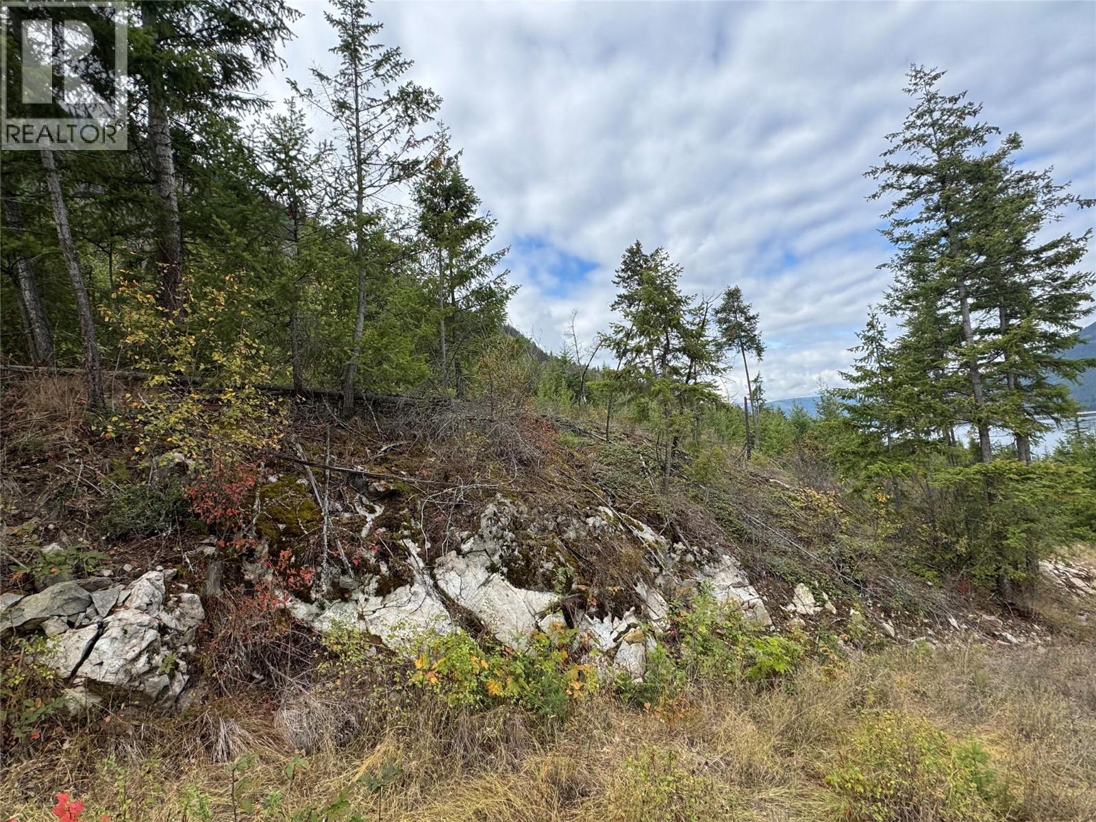 Lot 16 Osprey Point, Renata, British Columbia  V1N 3N3 - Photo 10 - 10401704
