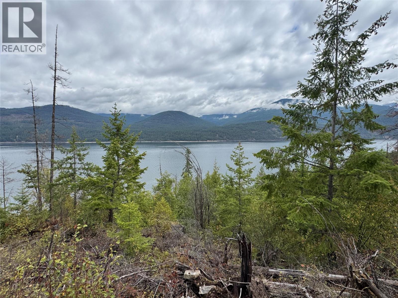 Lot 16 Osprey Point, Renata, British Columbia  V1N 3N3 - Photo 12 - 10401704