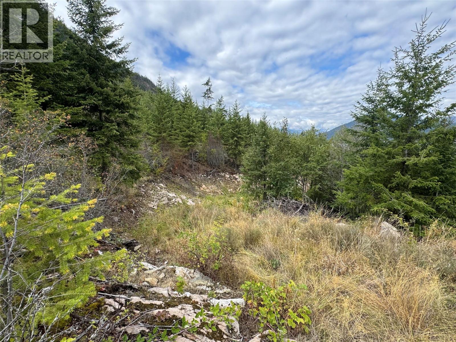 Lot 16 Osprey Point, Renata, British Columbia  V1N 3N3 - Photo 14 - 10401704