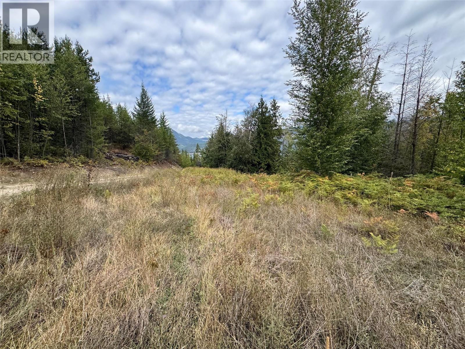 Lot 16 Osprey Point, Renata, British Columbia  V1N 3N3 - Photo 17 - 10401704