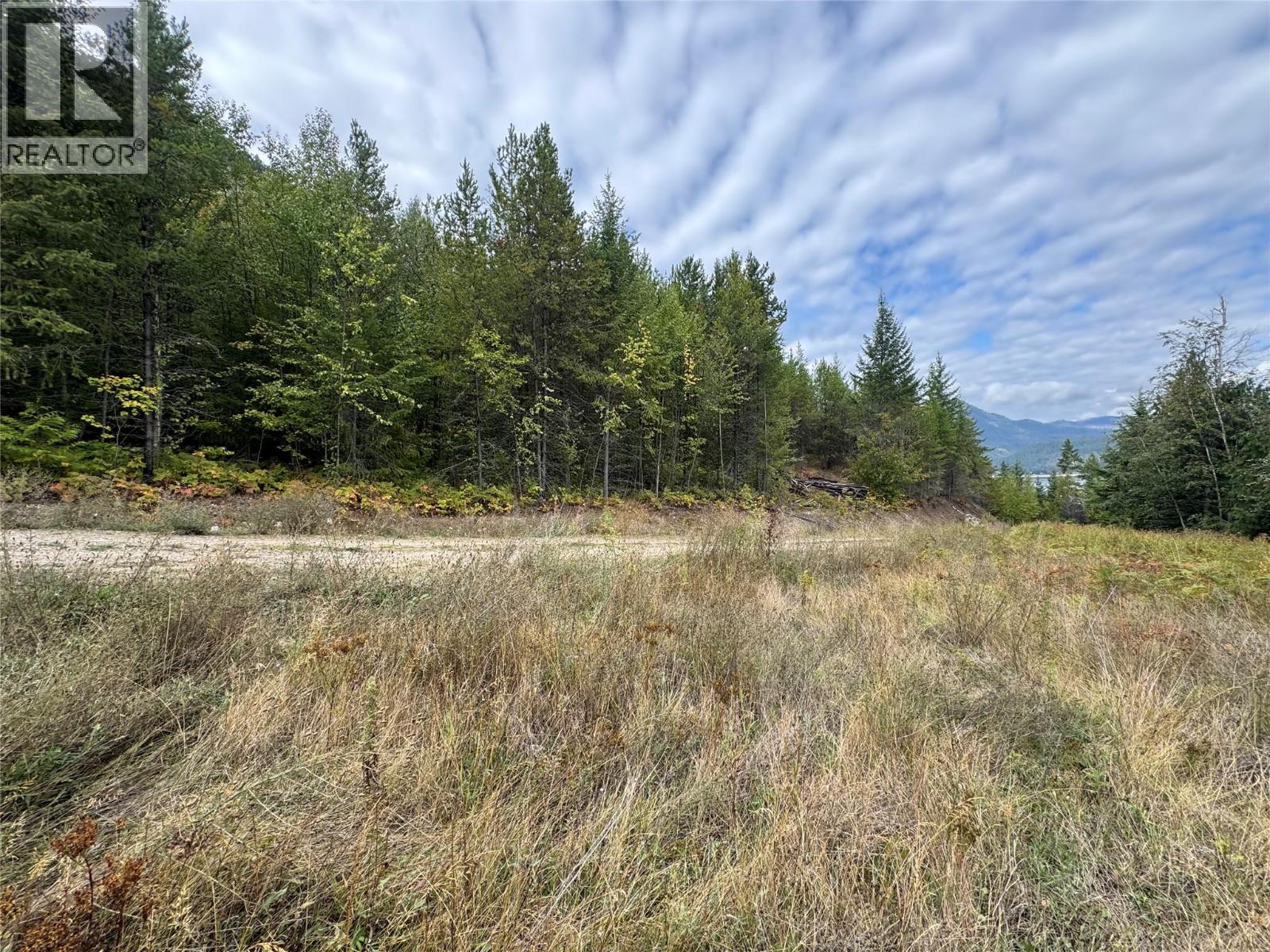Lot 16 Osprey Point, Renata, British Columbia  V1N 3N3 - Photo 18 - 10401704
