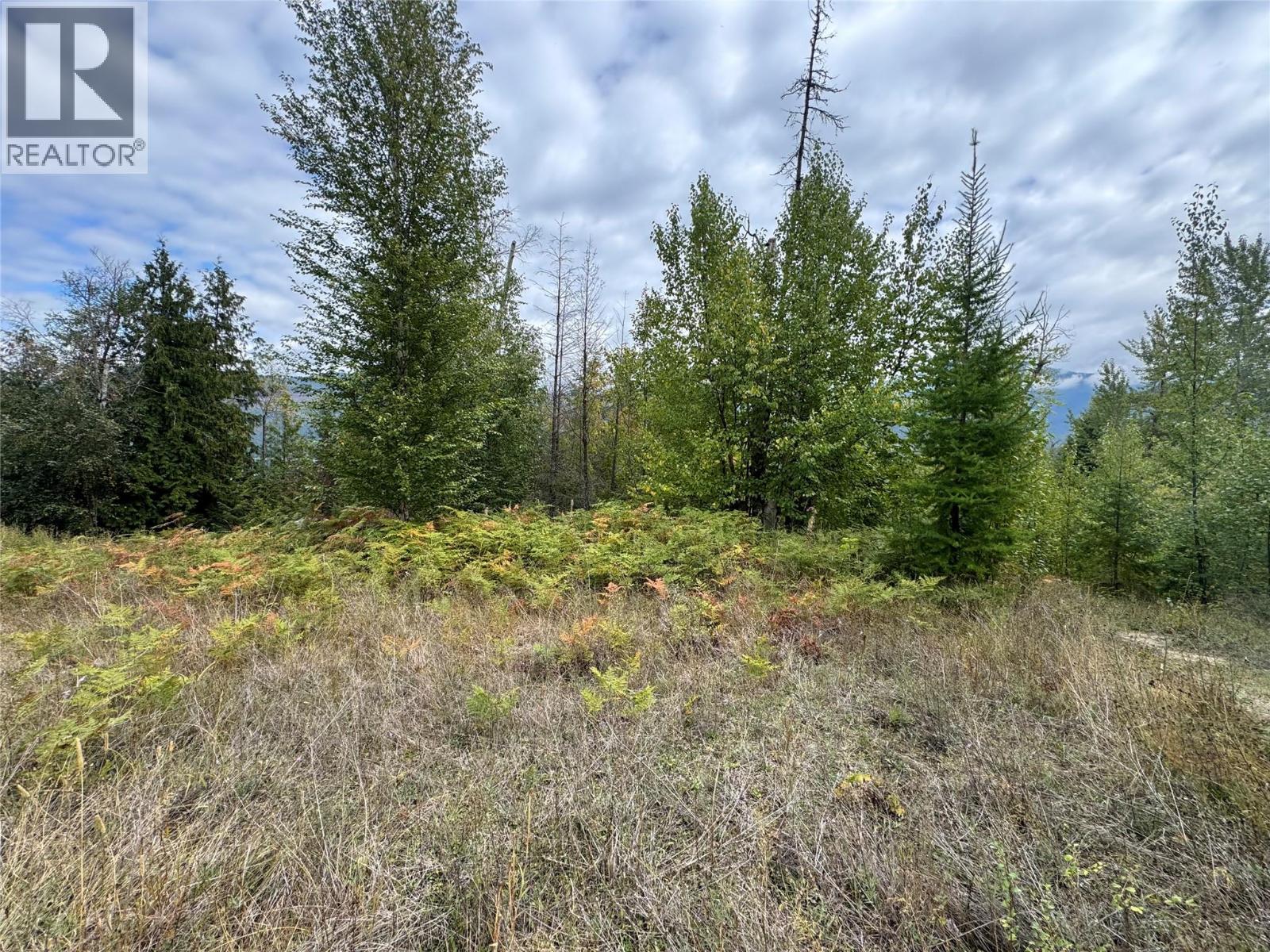 Lot 16 Osprey Point, Renata, British Columbia  V1N 3N3 - Photo 19 - 10401704