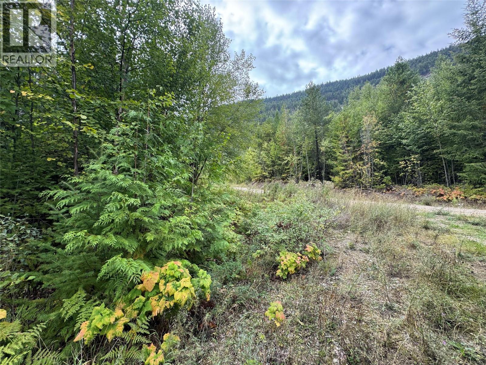 Lot 16 Osprey Point, Renata, British Columbia  V1N 3N3 - Photo 20 - 10401704