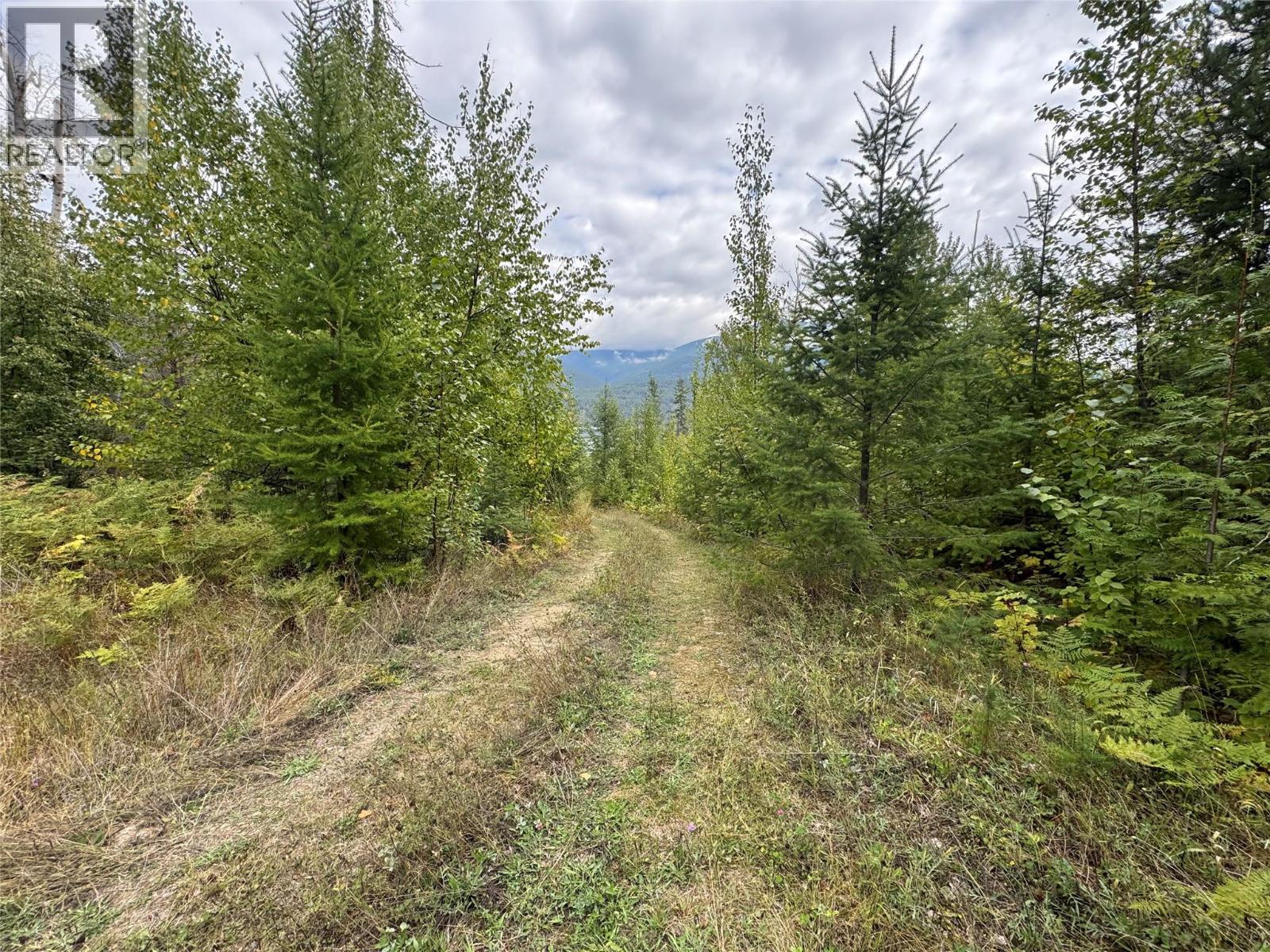 Lot 16 Osprey Point, Renata, British Columbia  V1N 3N3 - Photo 21 - 10401704