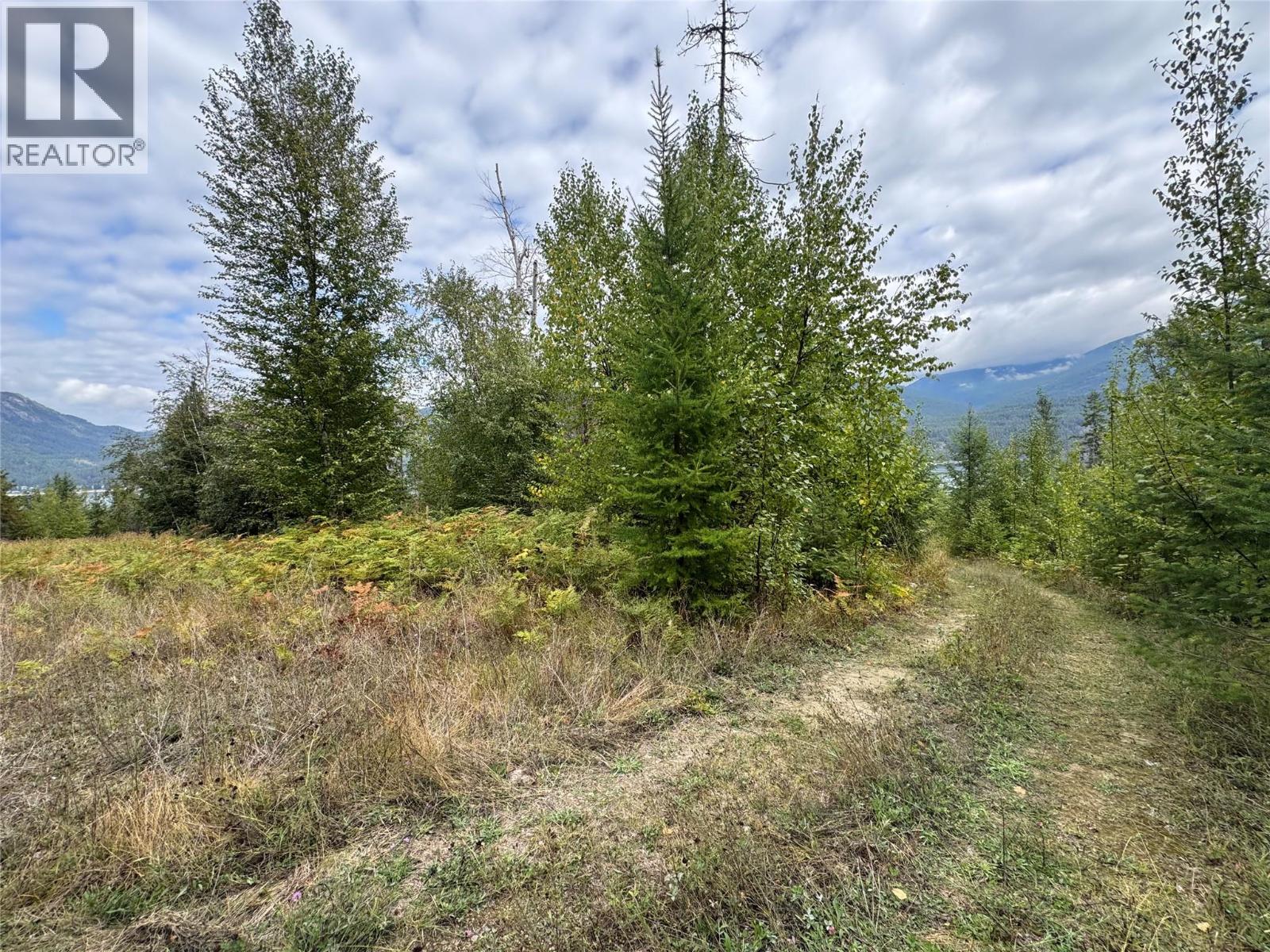 Lot 16 Osprey Point, Renata, British Columbia  V1N 3N3 - Photo 22 - 10401704