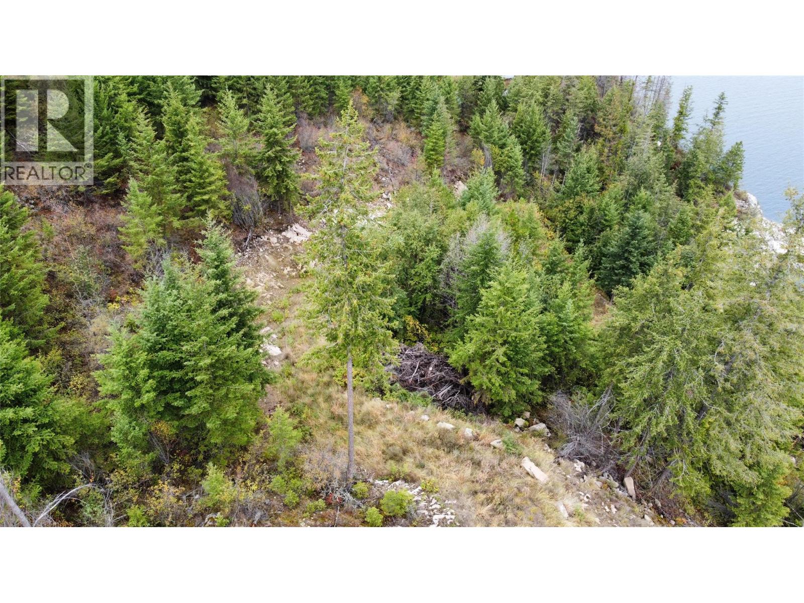 Lot 16 Osprey Point, Renata, British Columbia  V1N 3N3 - Photo 31 - 10401704