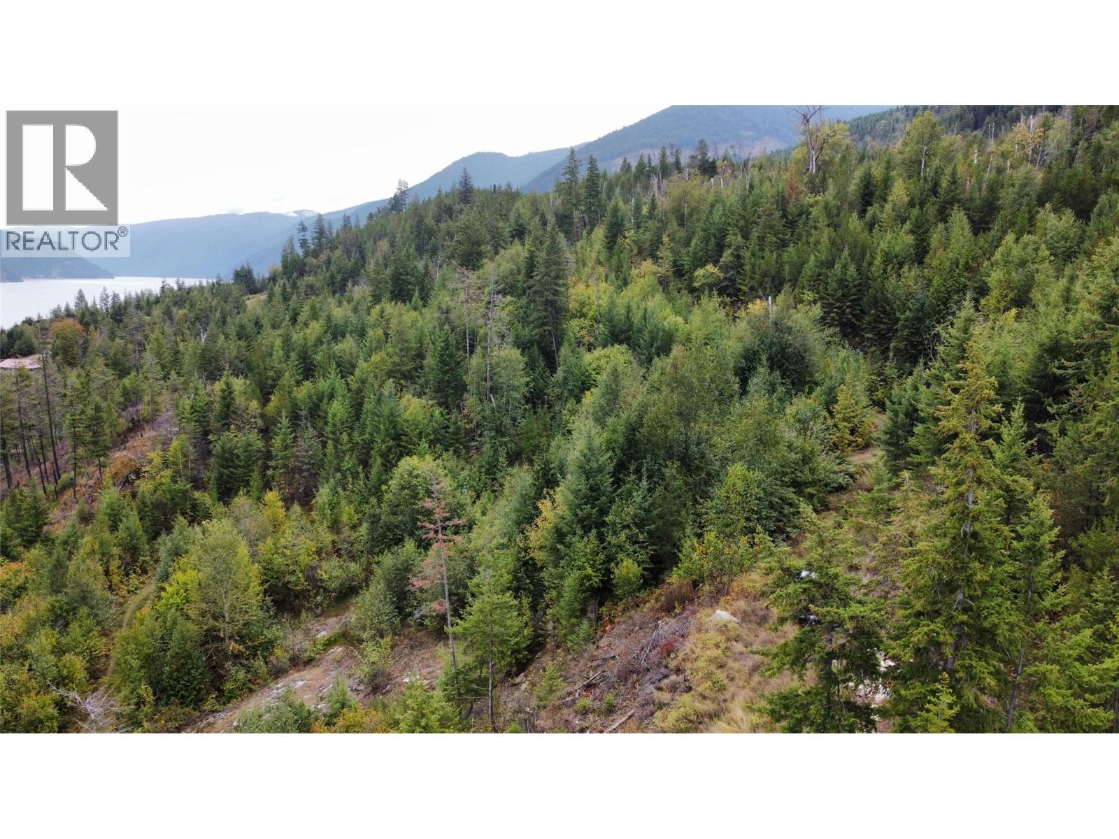 Lot 16 Osprey Point, Renata, British Columbia  V1N 3N3 - Photo 33 - 10401704