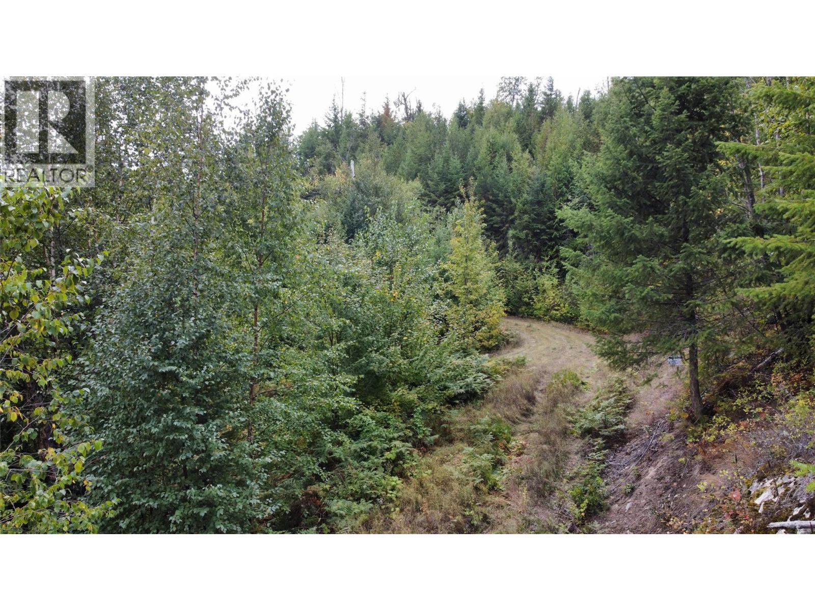 Lot 16 Osprey Point, Renata, British Columbia  V1N 3N3 - Photo 34 - 10401704