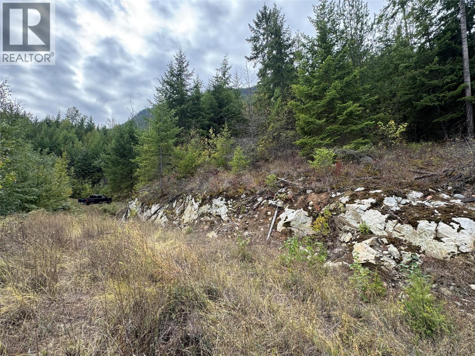 Lot 16 Osprey Point, Renata, British Columbia  V1N 3N3 - Photo 7 - 10401704