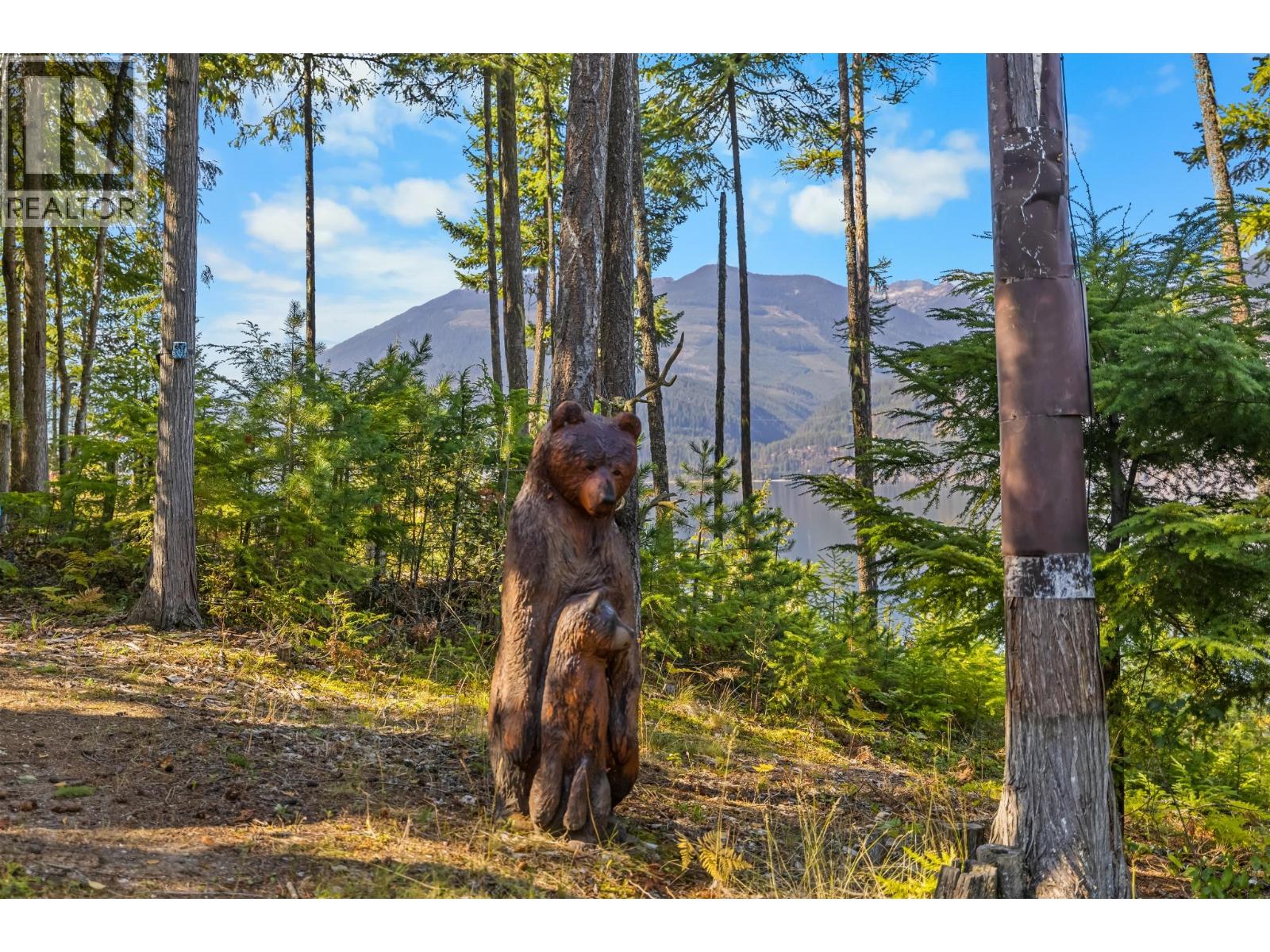 487 Walkers Landing Road, Riondel, British Columbia  V0B 2B0 - Photo 64 - 10402116