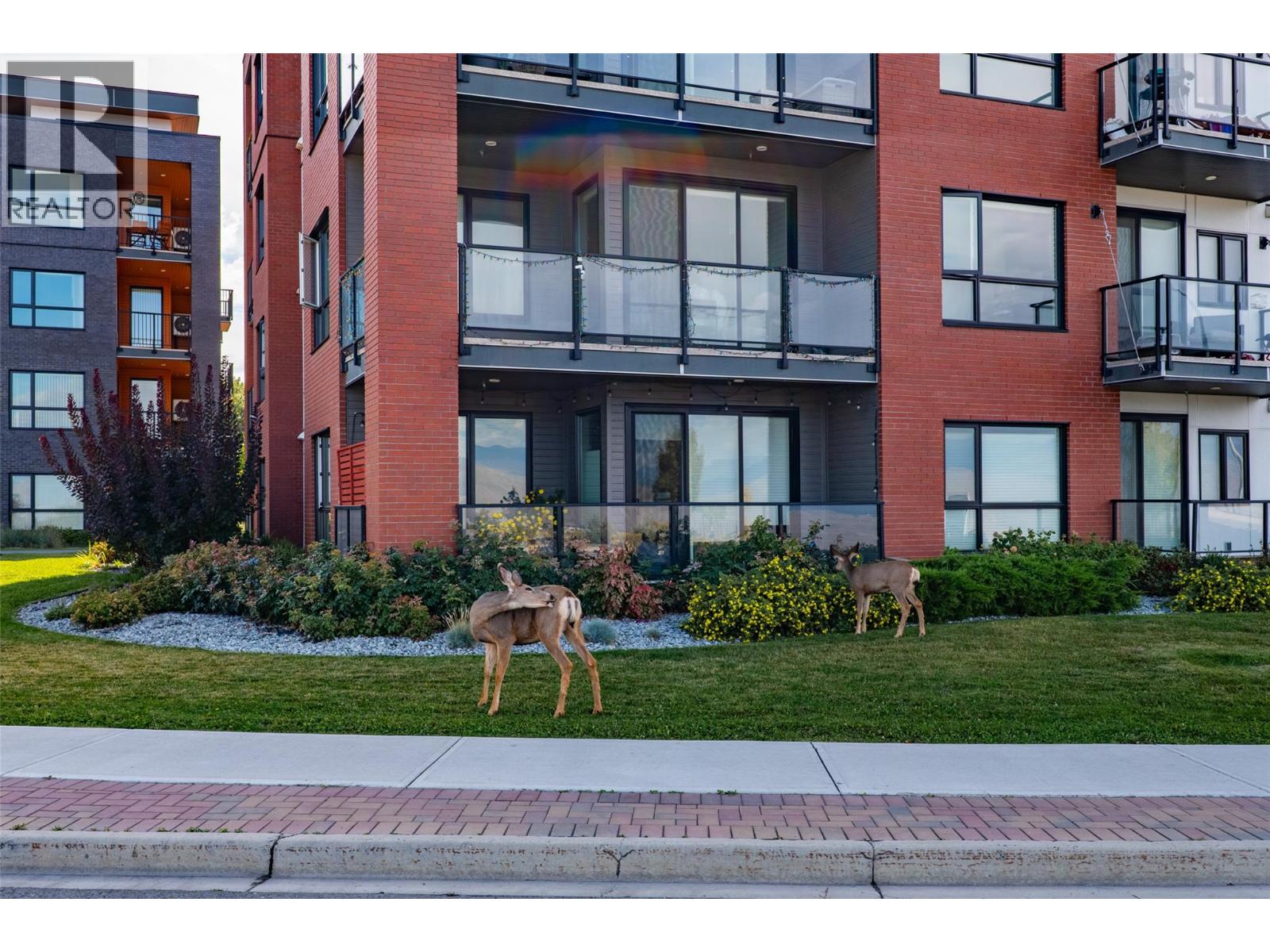 875 University Drive Unit# 203, Kamloops, British Columbia  V2C 0J8 - Photo 44 - 10402090