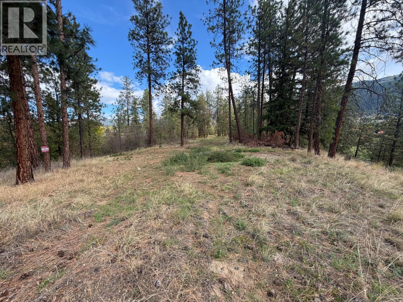 5440 Silver Star Road, Vernon, British Columbia  V1B 3K4 - Photo 50 - 10402078