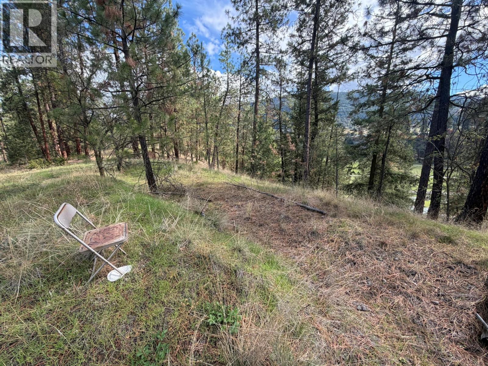 5440 Silver Star Road, Vernon, British Columbia  V1B 3K4 - Photo 56 - 10402078