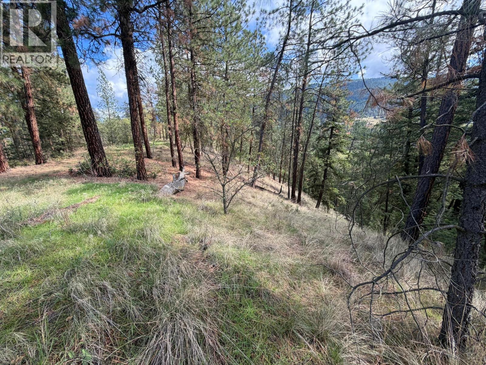 5440 Silver Star Road, Vernon, British Columbia  V1B 3K4 - Photo 57 - 10402078