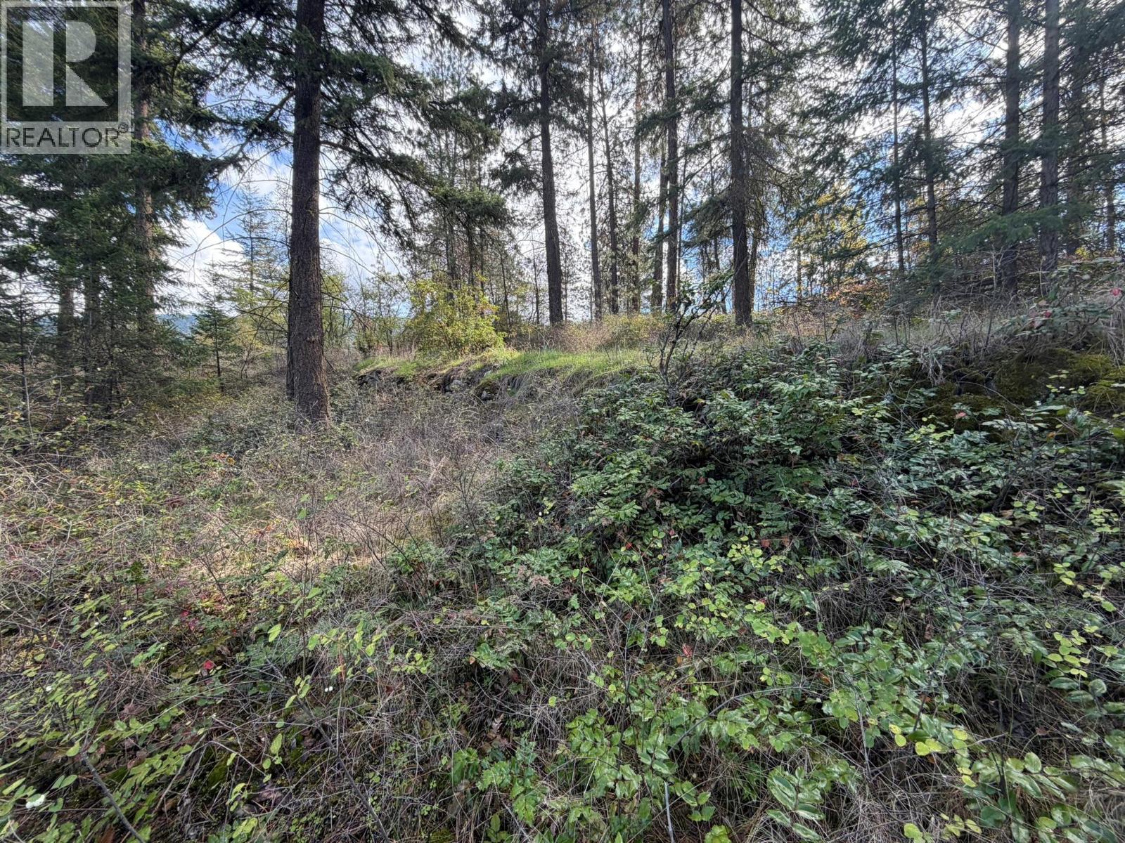 5440 Silver Star Road, Vernon, British Columbia  V1B 3K4 - Photo 62 - 10402078