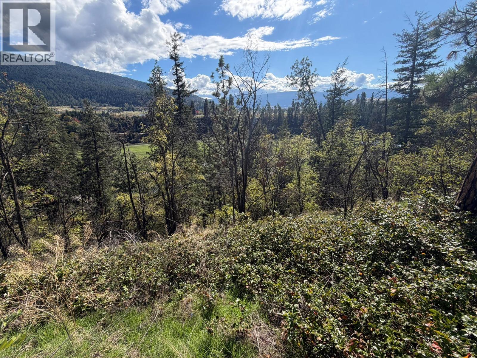 5440 Silver Star Road, Vernon, British Columbia  V1B 3K4 - Photo 70 - 10402078
