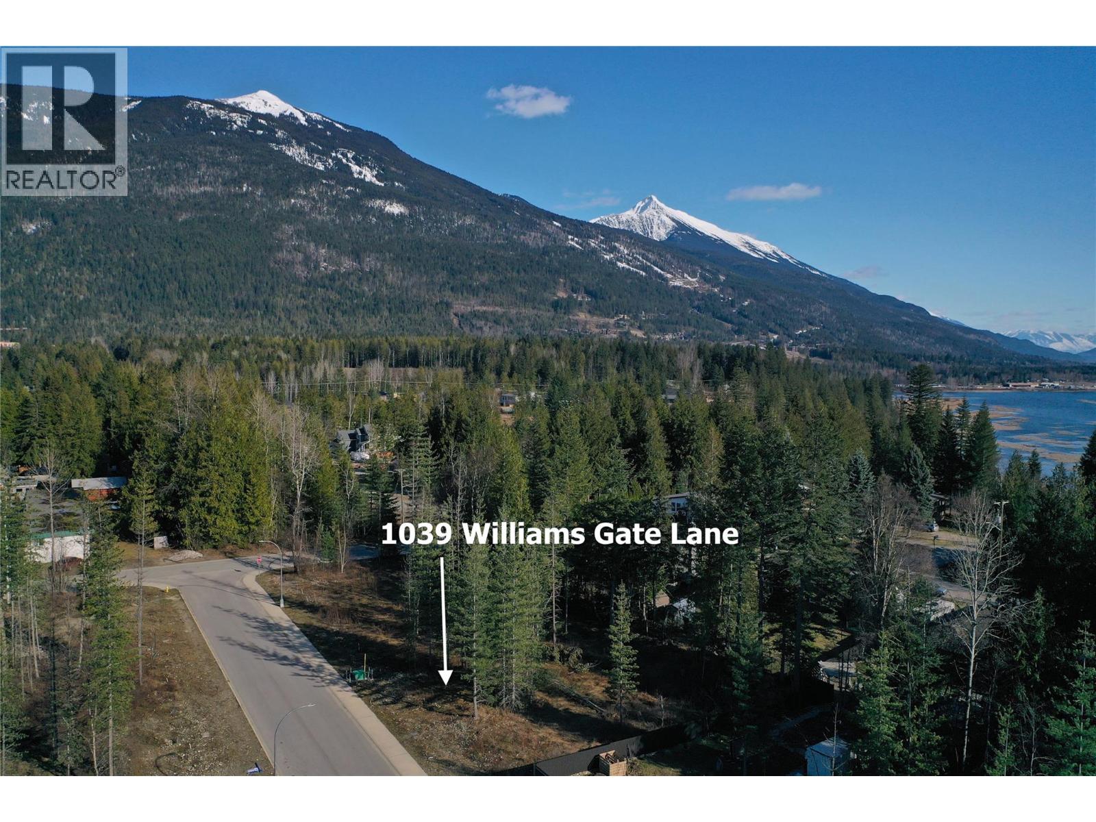 1039 Williams Gate Lane, Revelstoke, British Columbia  V0E 2S1 - Photo 5 - 10402129