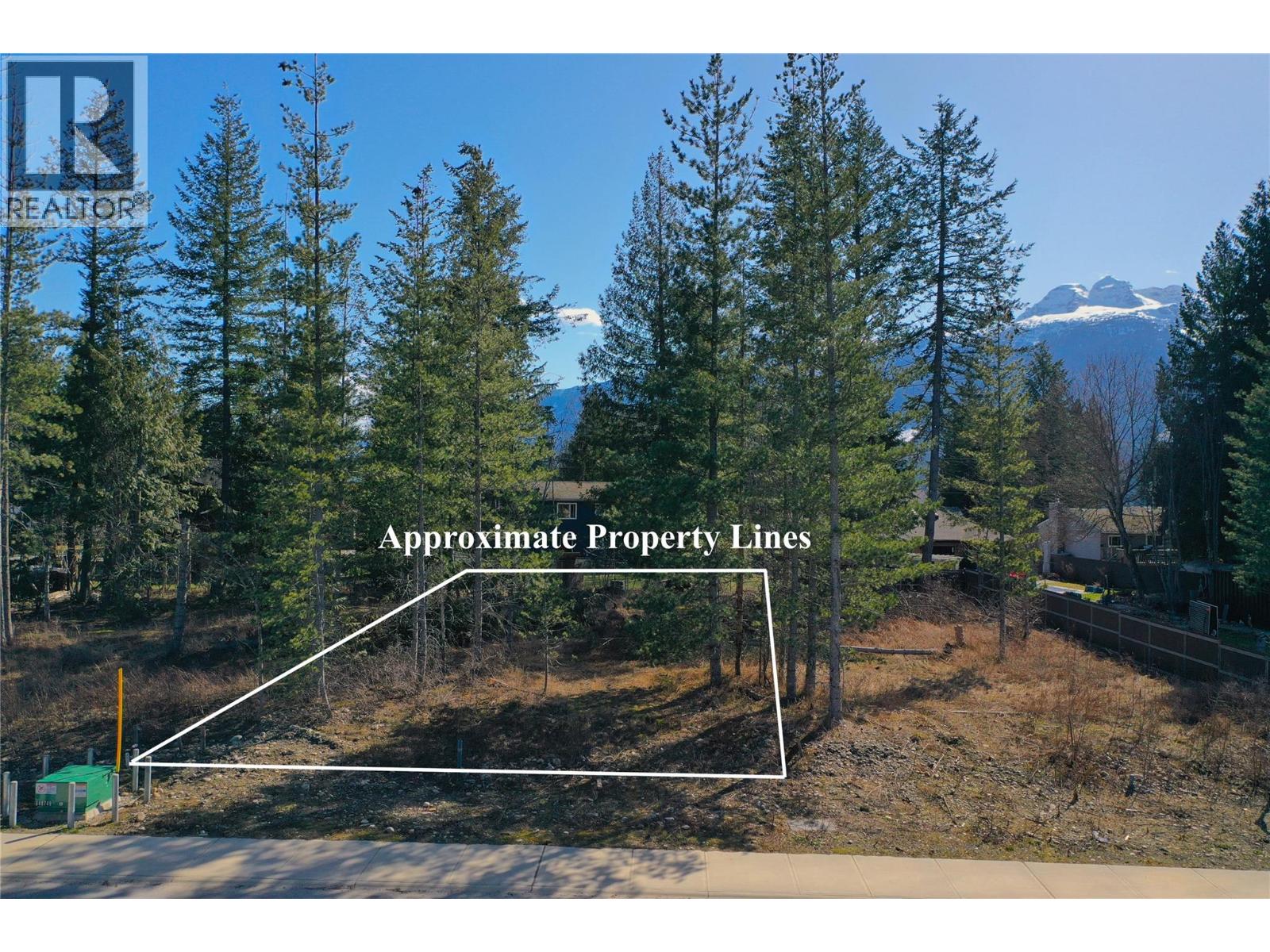 1039 Williams Gate Lane, Revelstoke, British Columbia  V0E 2S1 - Photo 7 - 10402129