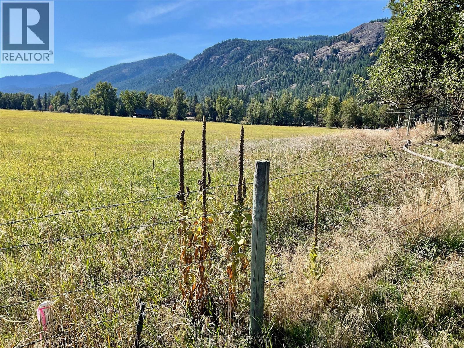 364 Fourth Avenue, Midway, British Columbia  V0H 1M0 - Photo 1 - 10402124