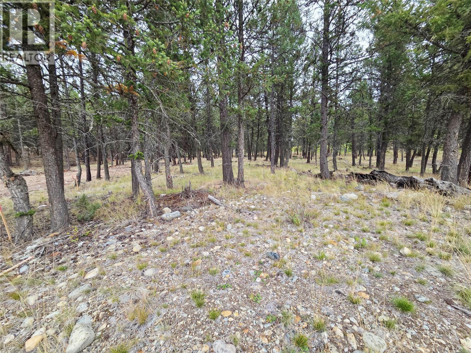 120 Shadow Mountain Boulevard, Cranbrook, British Columbia  V1C 7C3 - Photo 7 - 10402100