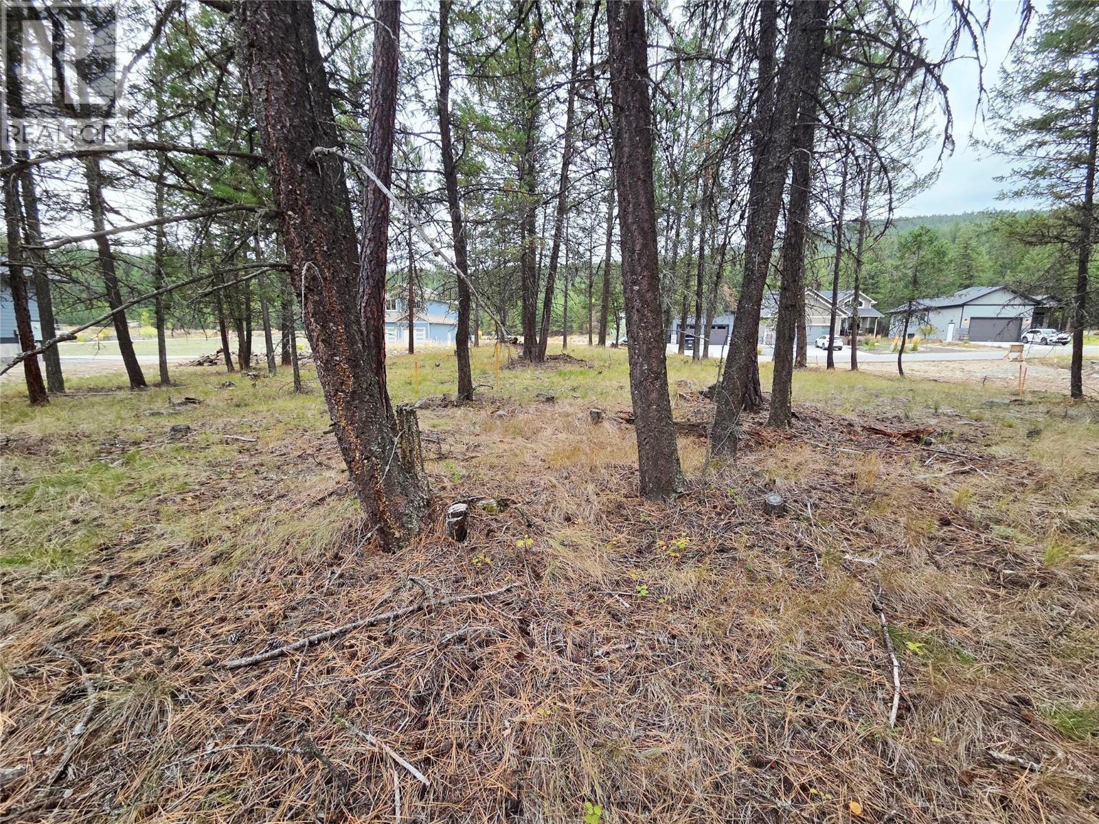 120 Shadow Mountain Boulevard, Cranbrook, British Columbia  V1C 7C3 - Photo 8 - 10402100