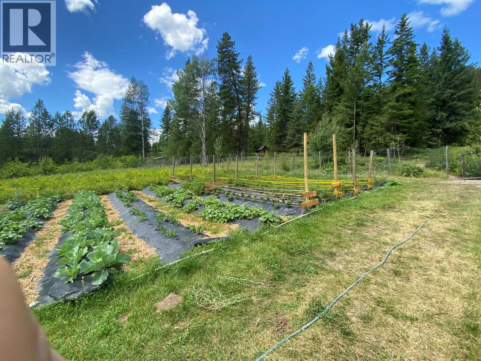 27 Pine Road, Cherryville, British Columbia  V0E 2G3 - Photo 74 - 10401415