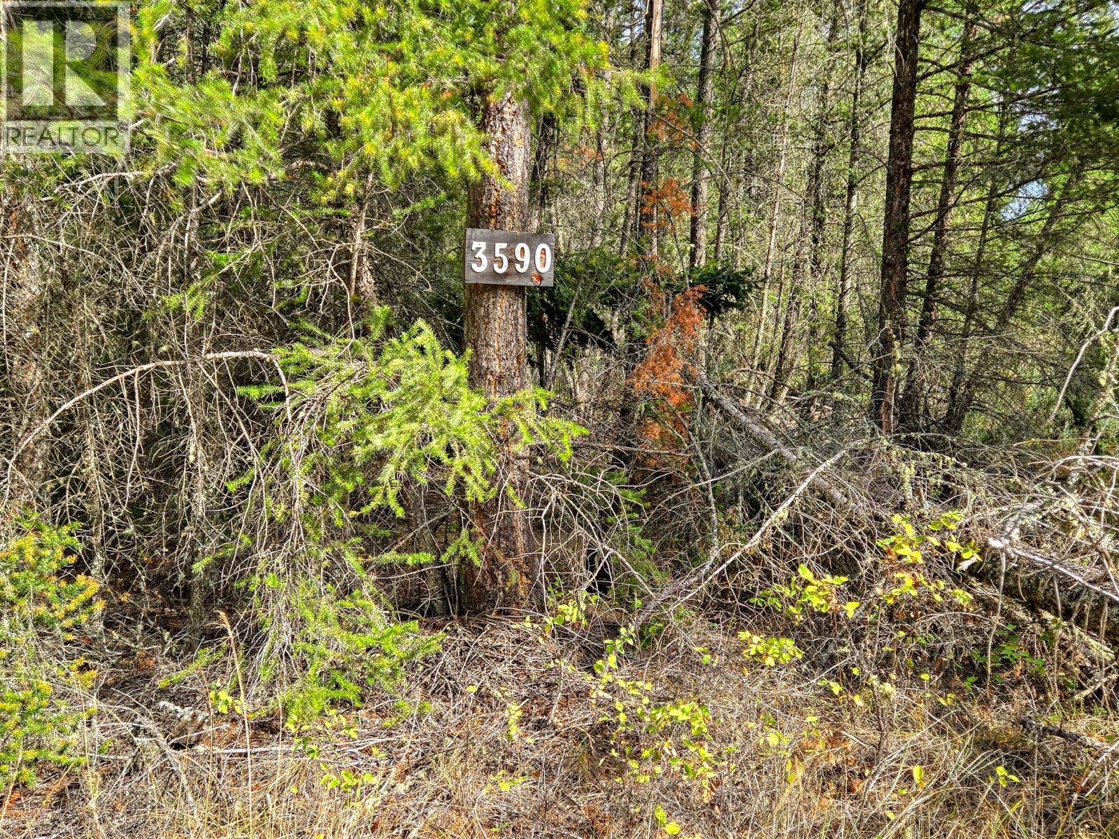 3590 Kootenay No. 3 Road, Windermere, British Columbia  V0B 1L1 - Photo 13 - 10401834