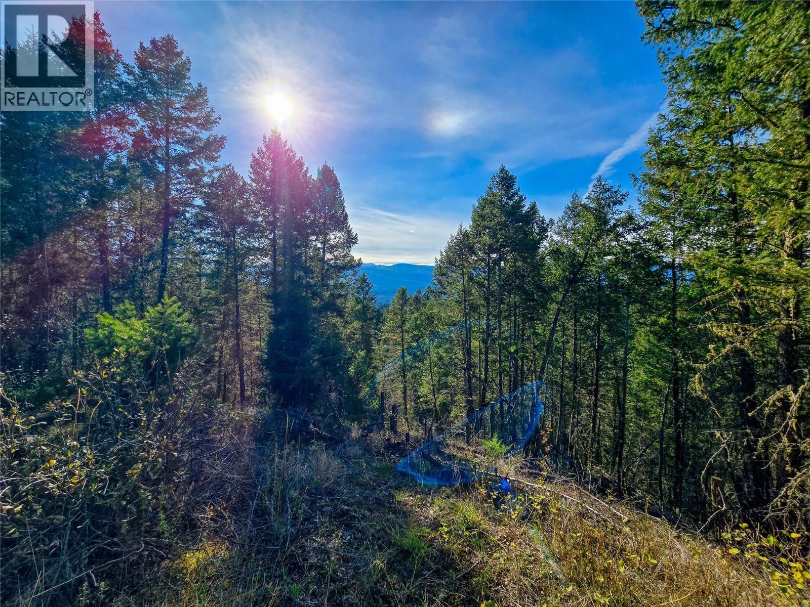 3590 Kootenay No. 3 Road, Windermere, British Columbia  V0B 1L1 - Photo 30 - 10401834