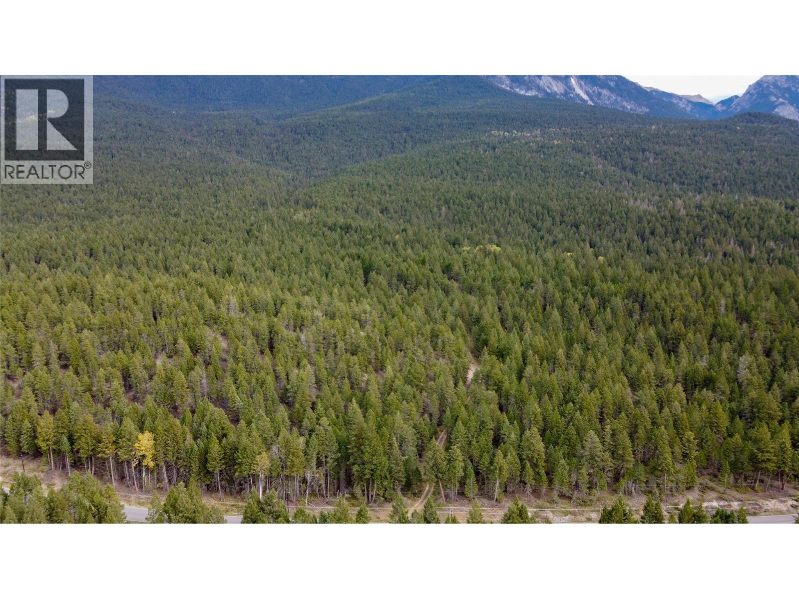 3590 Kootenay No. 3 Road, Windermere, British Columbia  V0B 1L1 - Photo 49 - 10401834