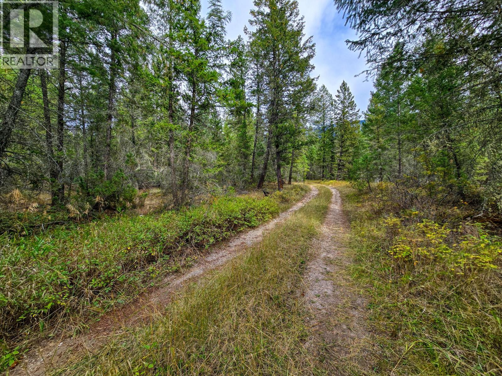 3590 Kootenay No. 3 Road, Windermere, British Columbia  V0B 1L1 - Photo 67 - 10401834