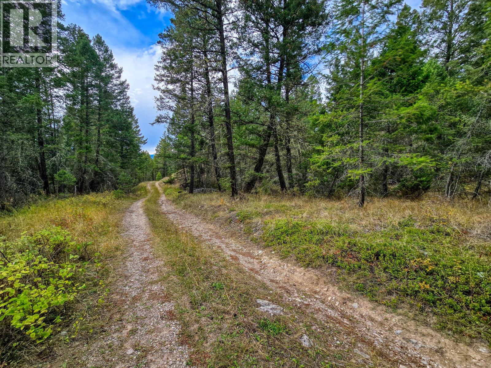 3590 Kootenay No. 3 Road, Windermere, British Columbia  V0B 1L1 - Photo 68 - 10401834