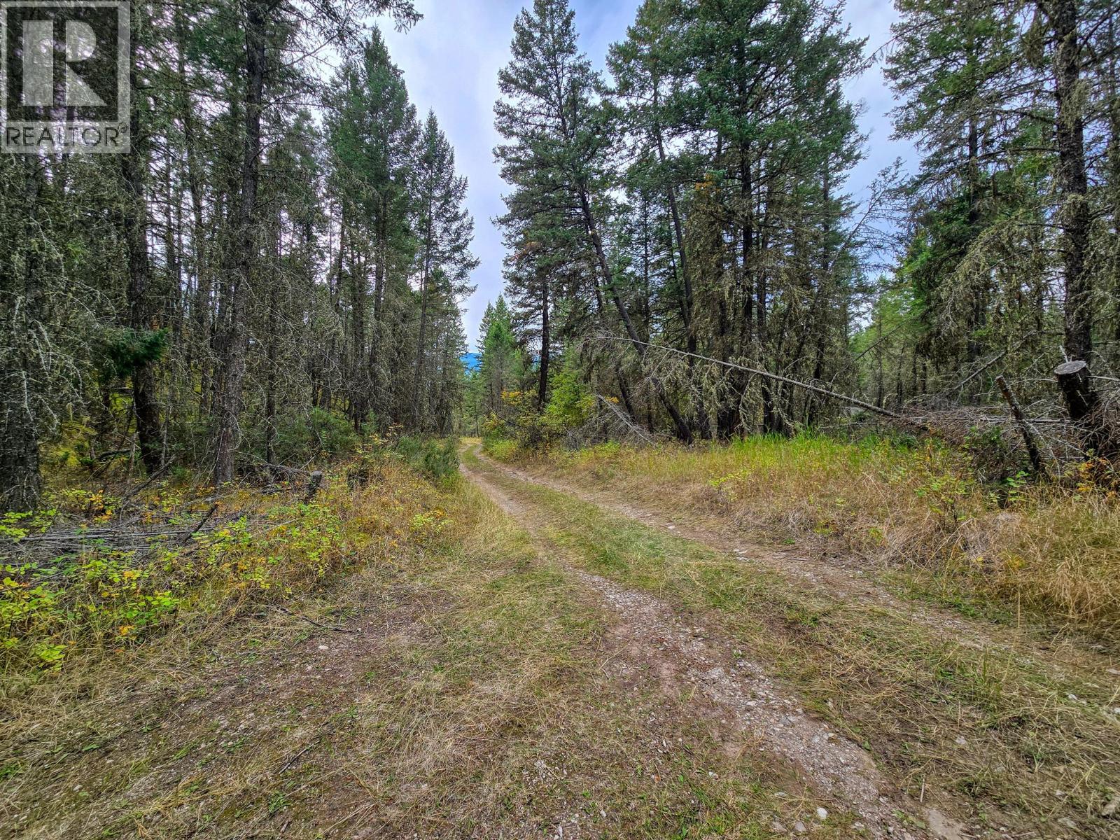 3590 Kootenay No. 3 Road, Windermere, British Columbia  V0B 1L1 - Photo 70 - 10401834