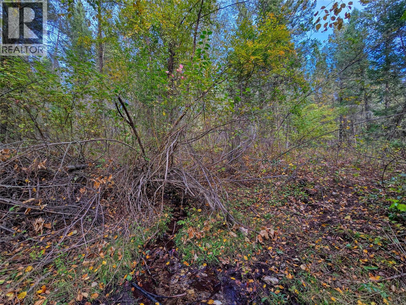 3590 Kootenay No. 3 Road, Windermere, British Columbia  V0B 1L1 - Photo 73 - 10401834