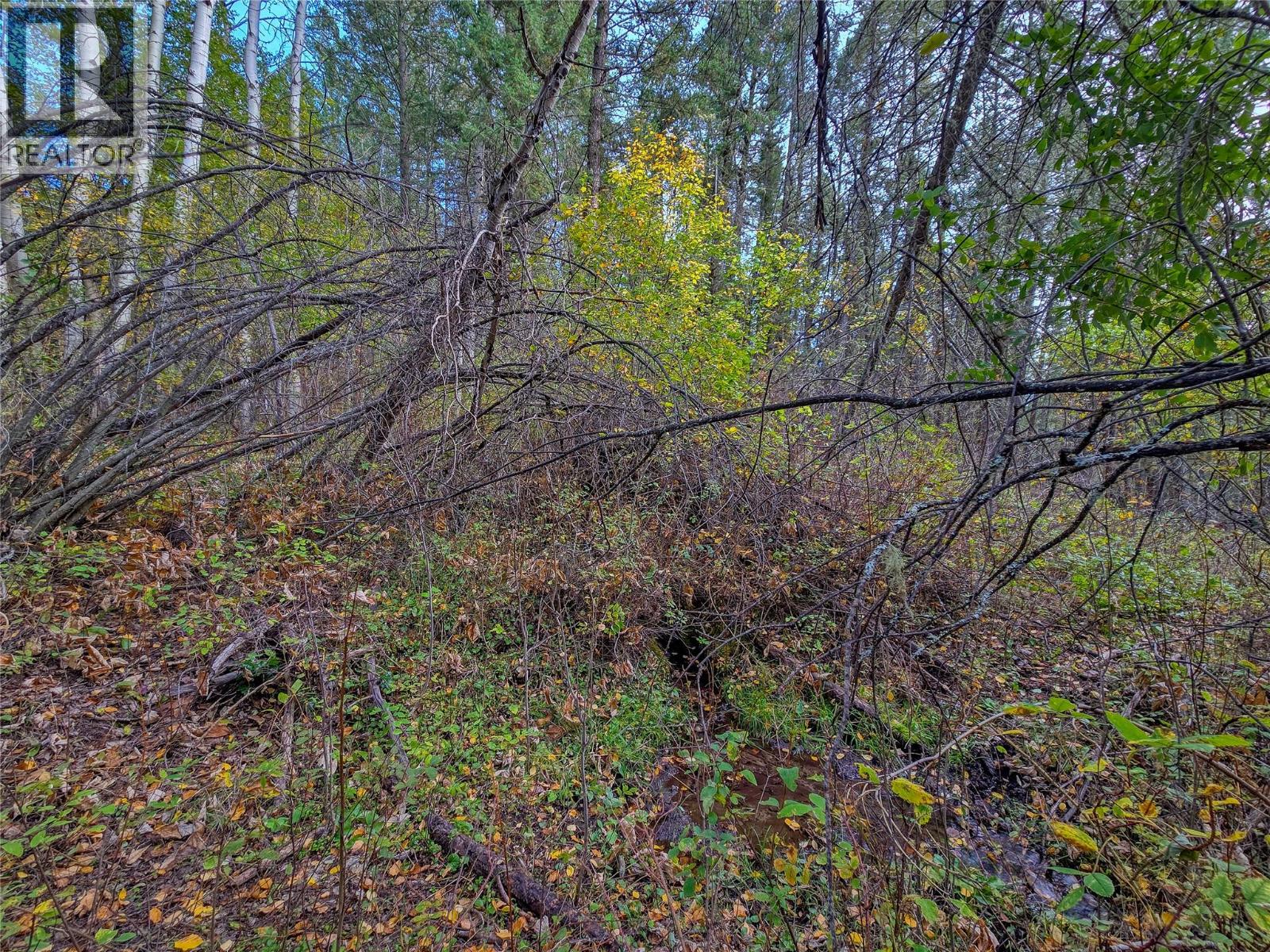 3590 Kootenay No. 3 Road, Windermere, British Columbia  V0B 1L1 - Photo 75 - 10401834
