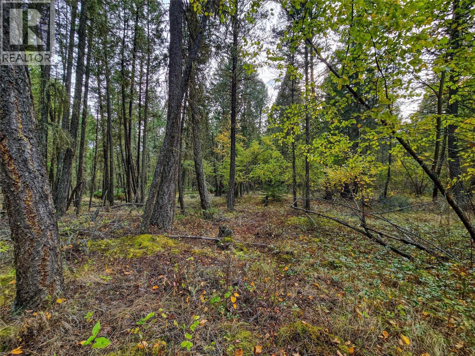 3590 Kootenay No. 3 Road, Windermere, British Columbia  V0B 1L1 - Photo 76 - 10401834