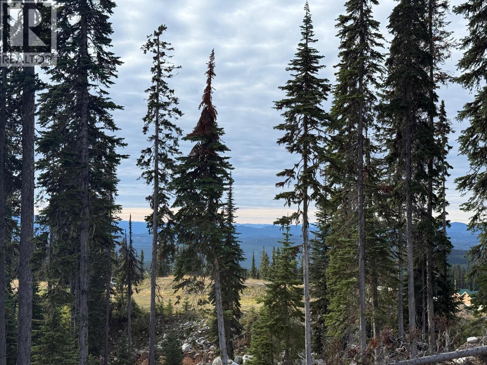 Black Forest Way Lot# 3, Big White, British Columbia  V1P 1P3 - Photo 7 - 10401948