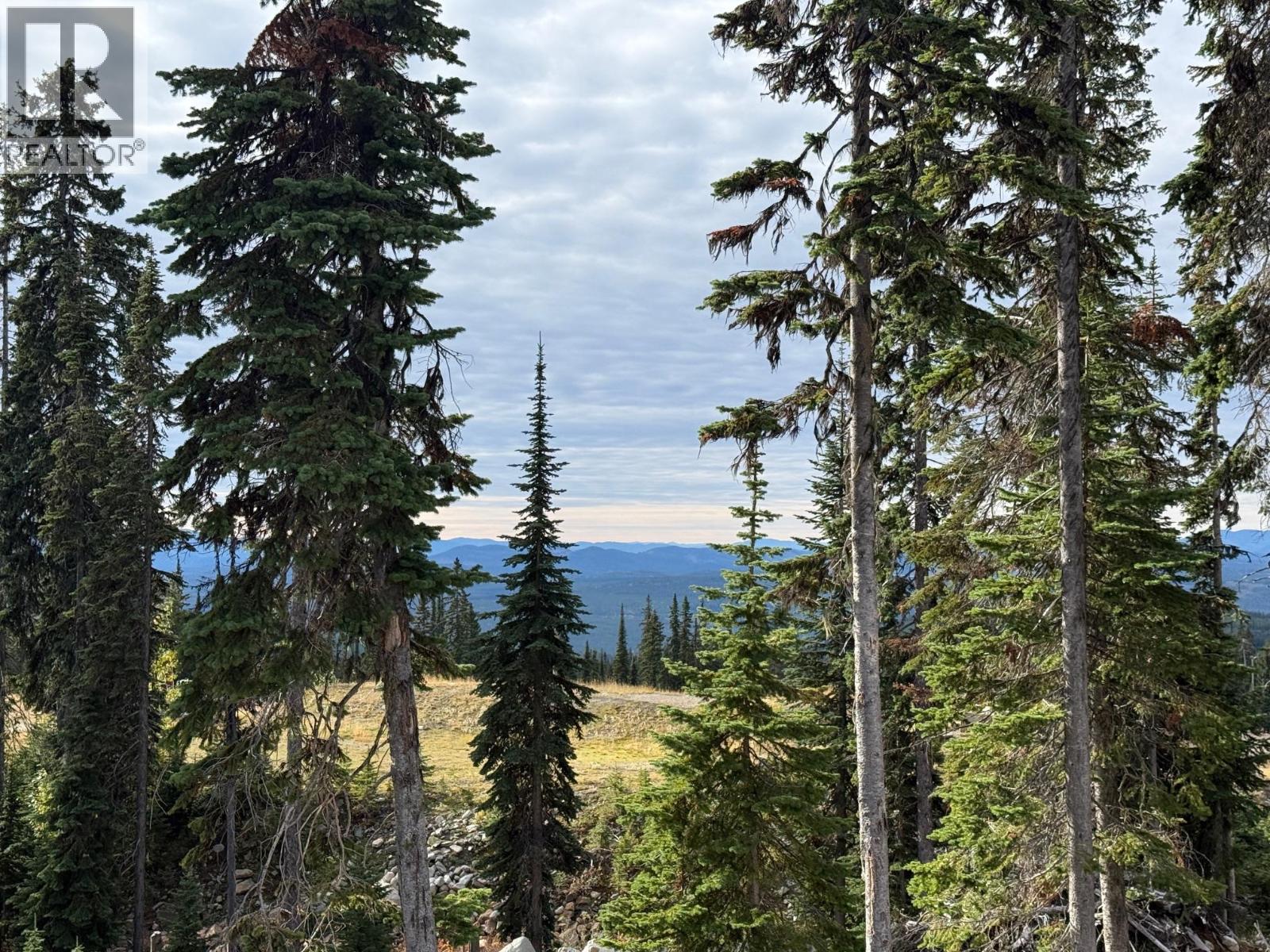 Black Forest Way Lot# 2, Big White, British Columbia  V1P 1P3 - Photo 8 - 10401895
