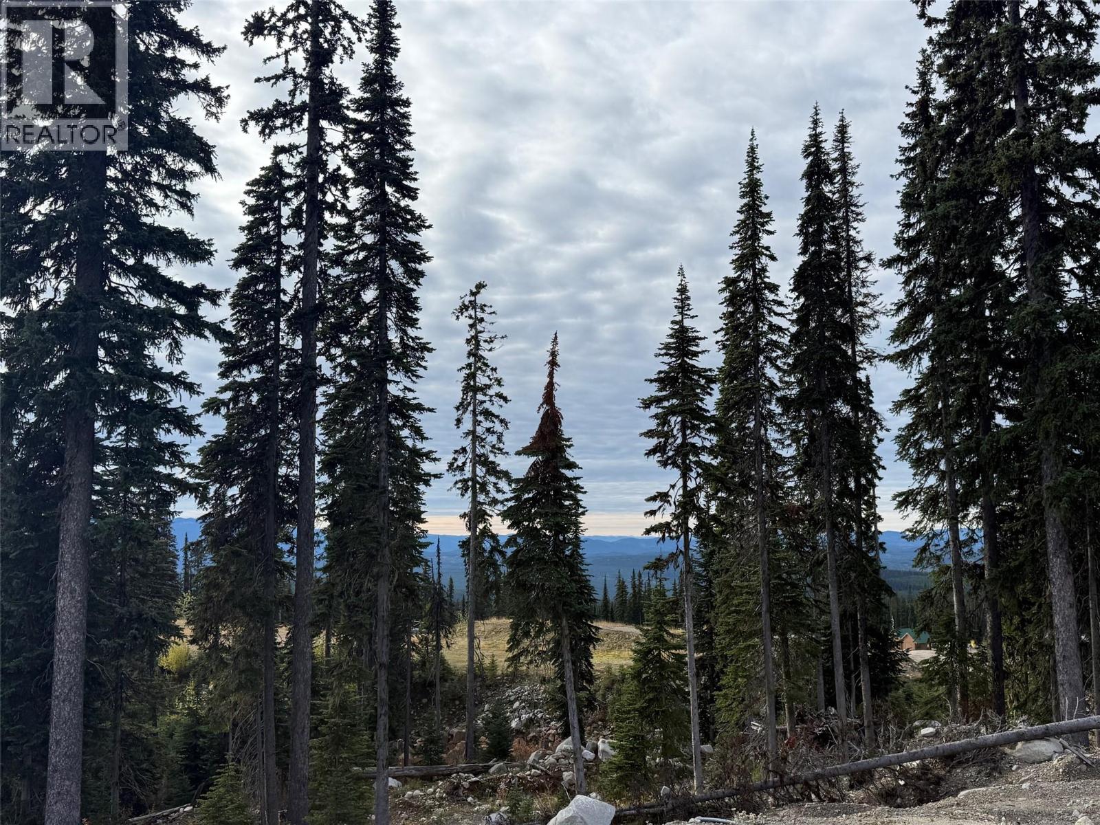 Black Forest Way Lot# 2, Big White, British Columbia  V1P 1P3 - Photo 9 - 10401895