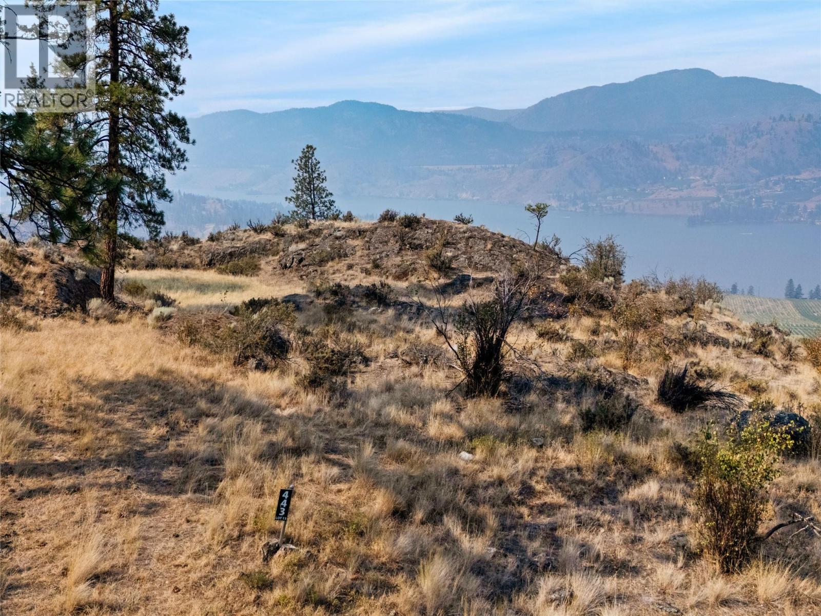 443 Matheson Road, Okanagan Falls, British Columbia  V0H 1R5 - Photo 3 - 10402196