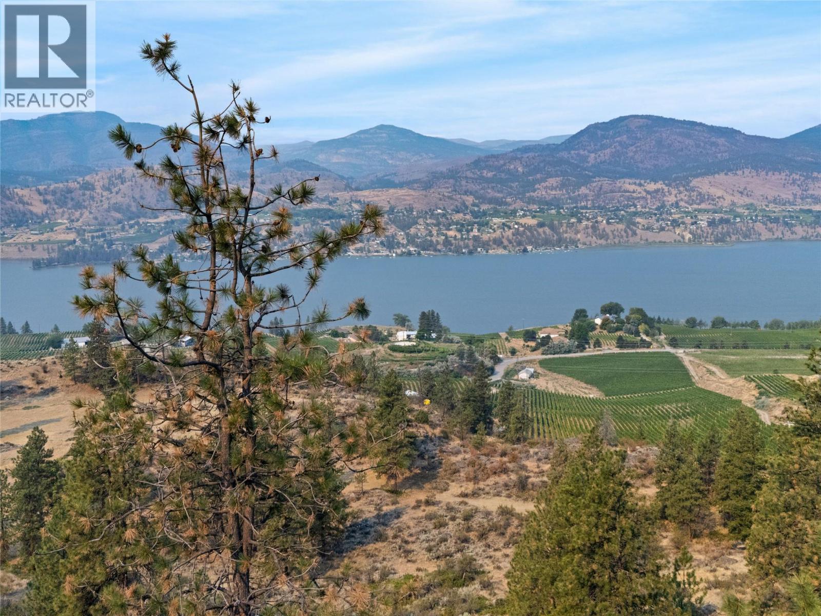 453 Matheson Road, Okanagan Falls, British Columbia  V0H 1R5 - Photo 4 - 10402195